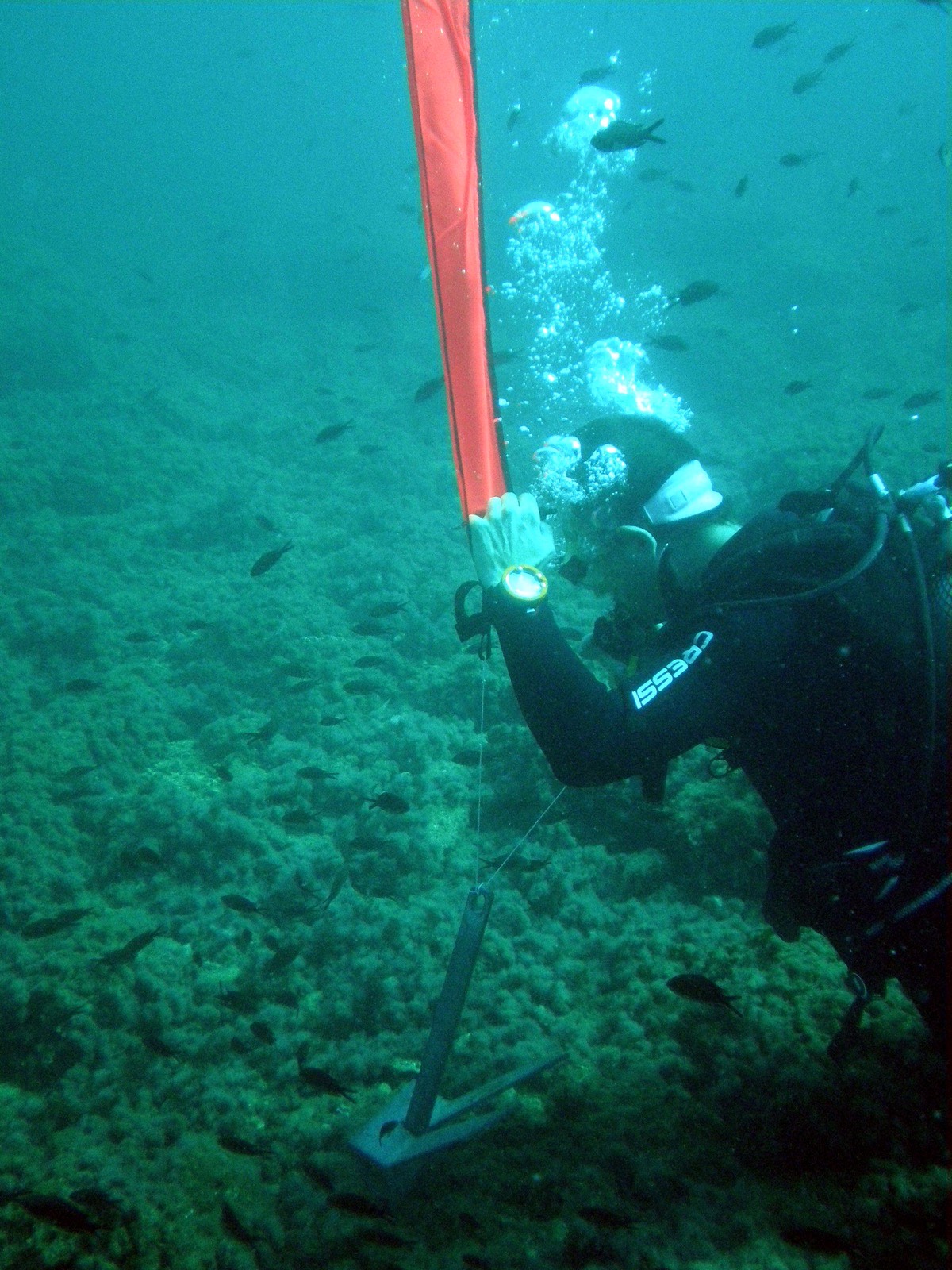 Curso SSI Stress & Rescue en Águilas